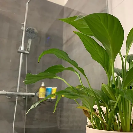 公寓 - 5 Min By Car To The & Center - Free Public Parking *